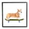 Stupell Industries Playful Corgi Pet Dog on Green Skateboard,12" x 12"